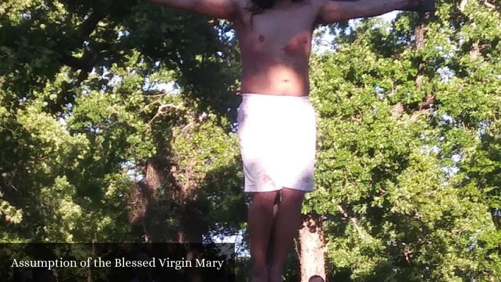 Assumption of the Blessed Virgin Mary - Decatur (Texas)