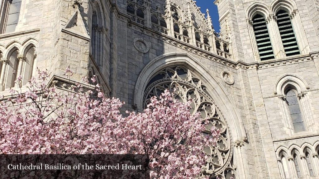 Cathedral Basilica of the Sacred Heart - Newark (New Jersey)
