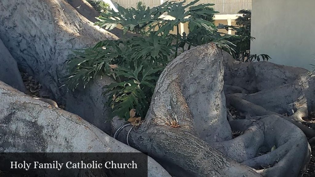 Holy Family Catholic Church - Orange (California)