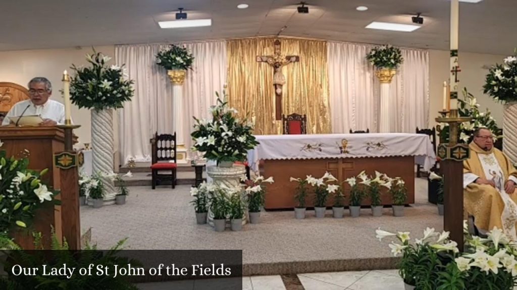 Our Lady of St John of the Fields - Mission (Texas)