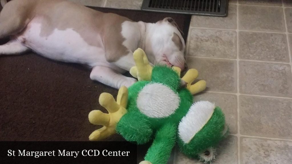 St Margaret Mary Ccd Center - Marcellus (Michigan)